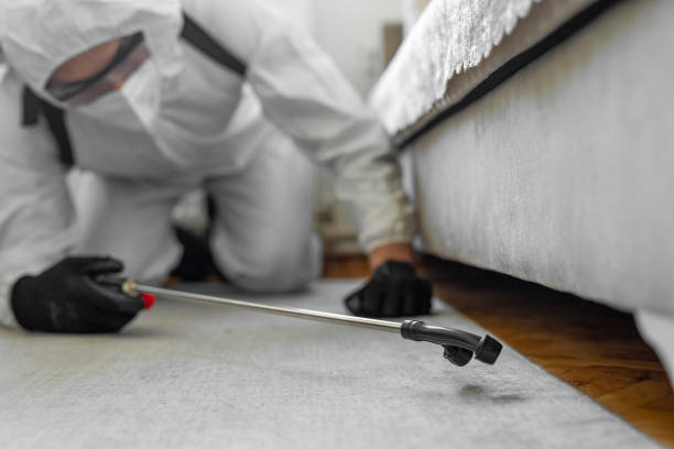 Professional Termite Control technician working in Hillandale, MD