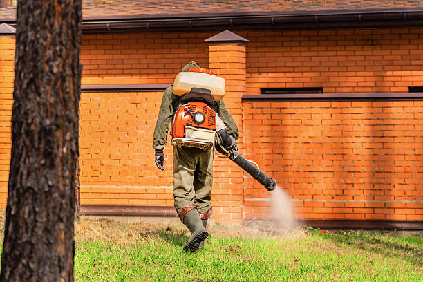 Trusted Bed Bug Control service in Hillandale, MD - Nex Pest Control
